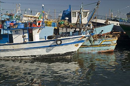 渔船,港口,的黎波里,利比亚