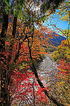 河,秋天,色彩