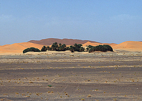 街道,沙子,山,沙漠,蓝天,撒哈拉沙漠,省,摩洛哥