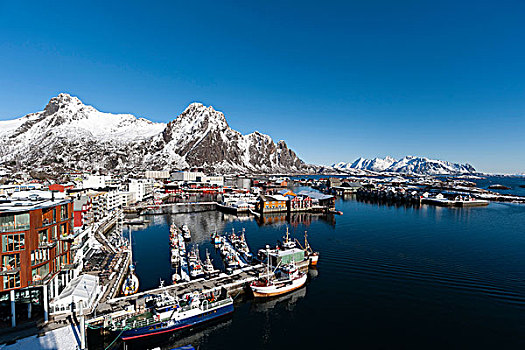 俯视图,港口,雪山,罗浮敦群岛,挪威