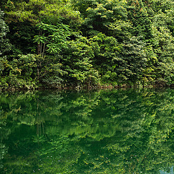 漂亮,风景,山,河,夏天