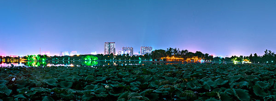 大明湖夜色全景