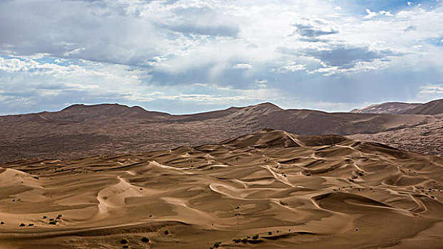 沙漠的魅力