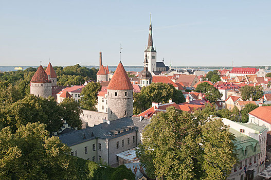 防卫,塔,教堂,城镇,塔林,爱沙尼亚,欧洲