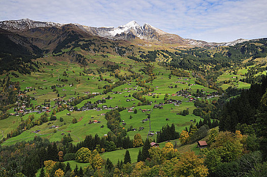 俯视,山谷,城镇,格林德威尔,伯尔尼阿尔卑斯山,瑞士