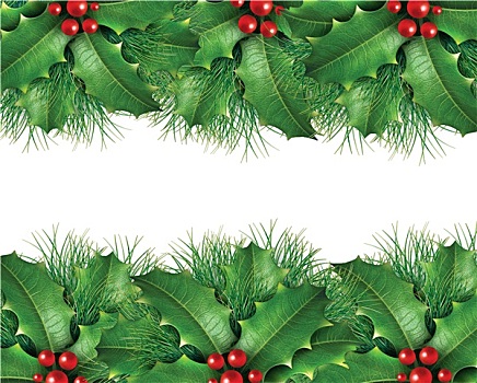 绿色,松树,圣诞节,背景,图像