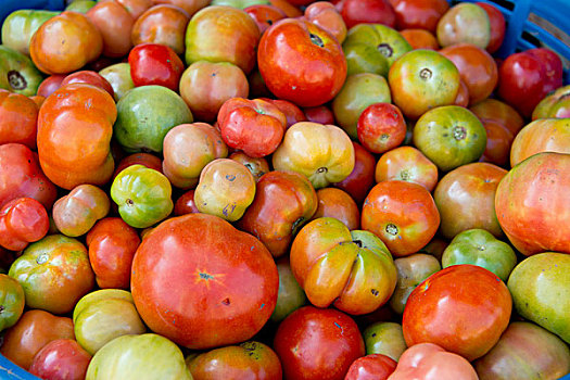 伯利兹,托莱多,新鲜,市场,特写,西红柿,大幅,尺寸