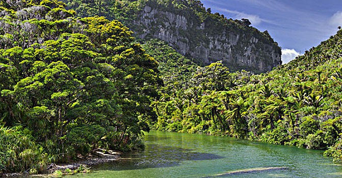 河,帕帕罗瓦国家公园,西海岸,南岛,新西兰