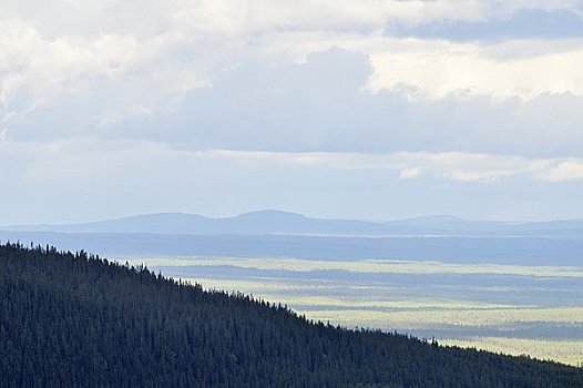 风景