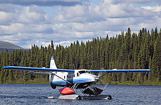 滑行,加拿大,水獭,水上飞机,独木舟,系,两栖飞机,北美驯鹿,湖,河,育空地区