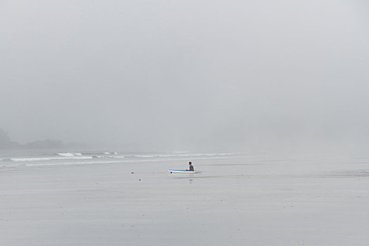 冲浪,潜水服,坐,海滩,雾,看,海洋