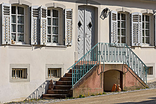 房门,楼梯,奥登瓦尔德,黑森州,德国