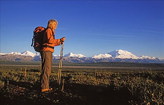 远足,德纳里峰国家公园,山,麦金利山,背景,阿拉斯加,美国