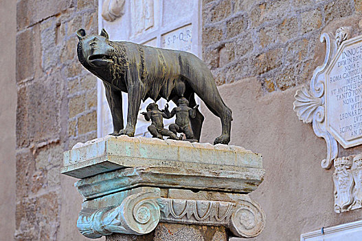 铜像,象征,城市,狼,旁侧,邸宅,首都,罗马,意大利