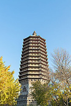 北京玲珑公园的慈寿寺塔