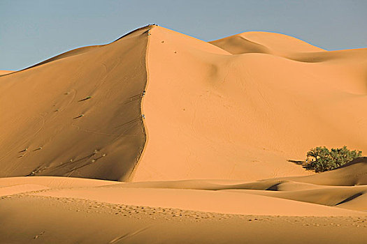 摩洛哥,梅如卡,却比沙丘,沙丘,向上,高度