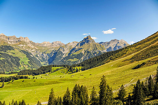 瑞士高山牧场