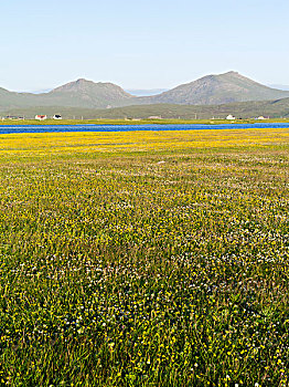 风景,岛屿,南,欧洲,苏格兰,大幅,尺寸