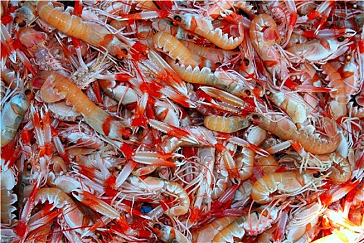小龙虾,挪威龙虾,海鲜,市场