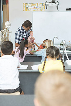 教师,拿着,人体模型,骨骼,女生,接触,肺