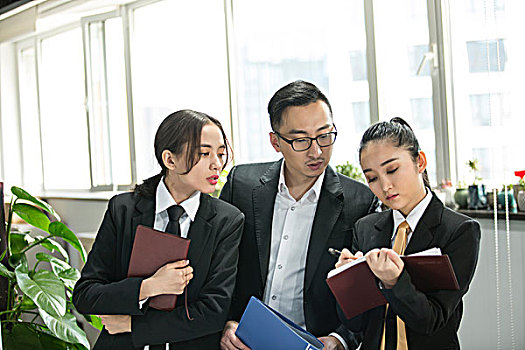 电视剧忠诚在线观看