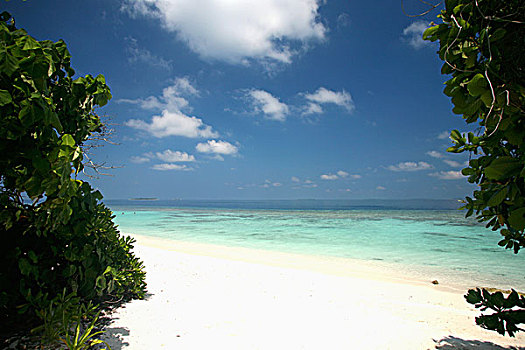 海滩,泻湖,北方,环礁,马尔代夫