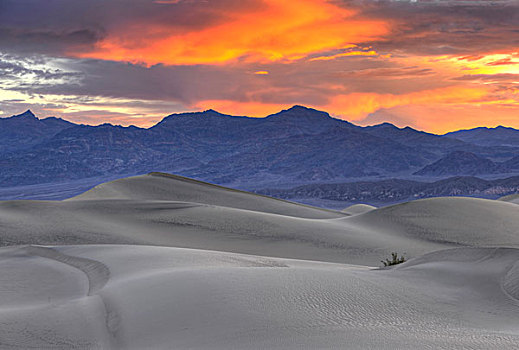 壮观,日出,马斯奎特沙丘,大礼帽,看,棉白杨,山峦,死亡谷国家公园,莫哈维沙漠,加利福尼亚,美国