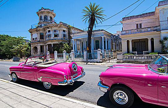 哈瓦那,古巴,粉色,经典,20世纪50年代,汽车,漂亮,附近,停放