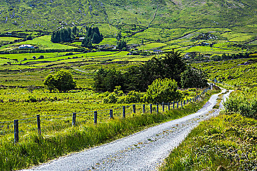 道路,景色,路线,克俐环,凯瑞郡,爱尔兰