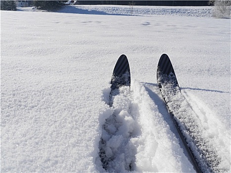 情侣,滑雪,雪