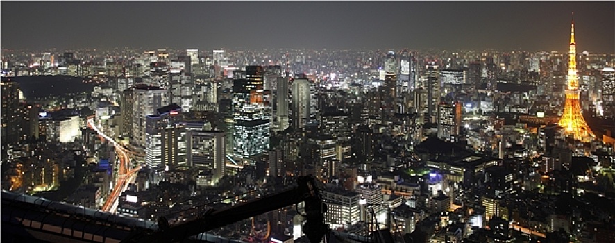 东京,城市,日本,夜晚