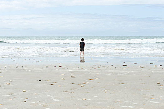 男孩,海滩,看,海洋,后视图