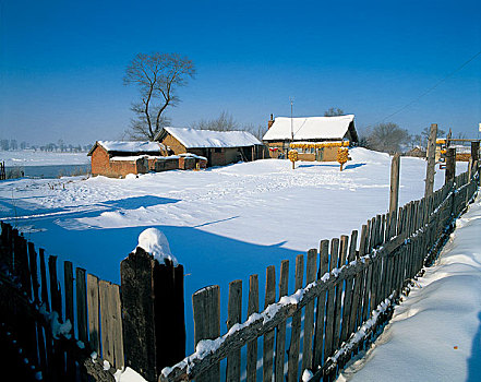 吉林冬季农家小院雪景