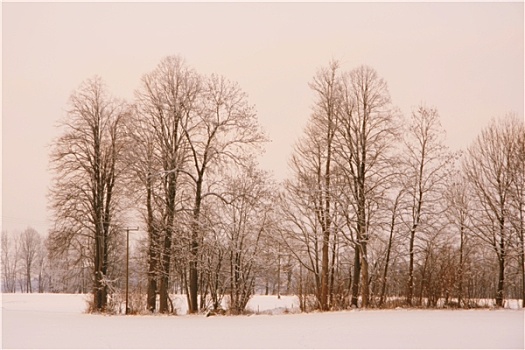 雪