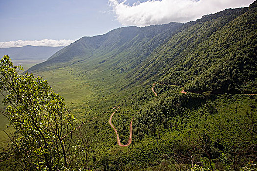 非洲,坦桑尼亚,陡峭,上升,途中,室外,恩戈罗恩戈罗火山口,恩戈罗恩戈罗,保护区