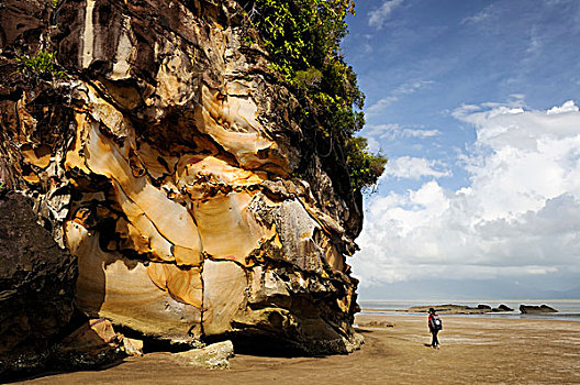 马来西亚,婆罗洲,沙捞越,巴戈国家公园,女人,走,阿萨姆邦,海滩,靠近,悬崖,石头