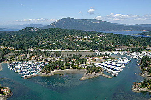 航拍,码头,温哥华岛,不列颠哥伦比亚省,加拿大
