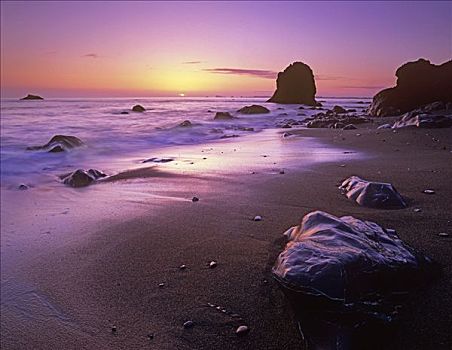 海滩,日落,红杉国家公园,加利福尼亚