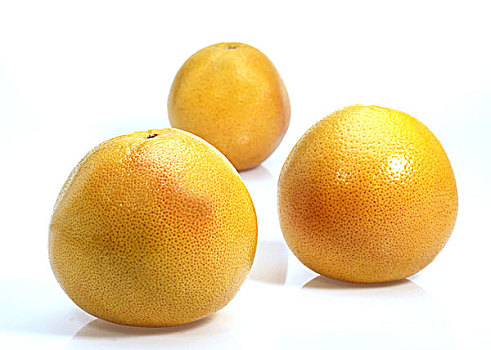 柚子,西柚,水果,白色背景