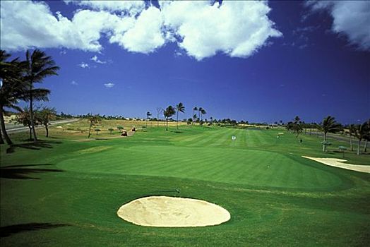 夏威夷,瓦胡岛,高尔夫球杆,蓝天