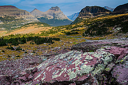 彩色,石头,靠近,隐藏,湖,小路,冰川国家公园,世界遗产,凯利斯贝尔,蒙大拿