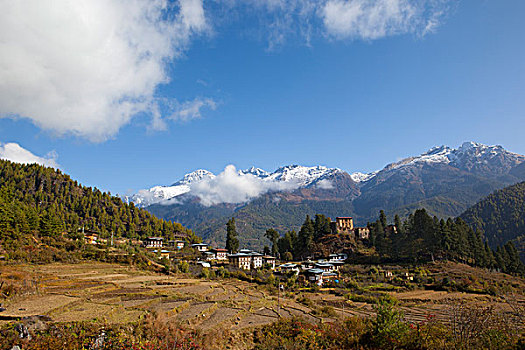稻田,乡村,不丹