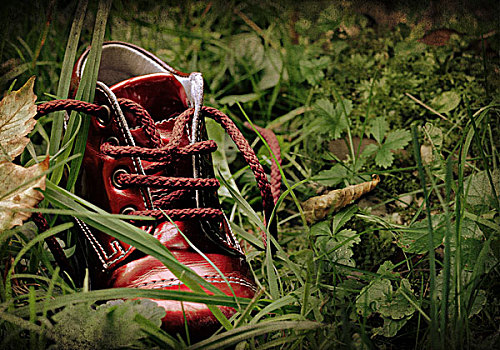 红色,鞋,树林
