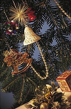 圣诞节,圣诞树饰,冷杉,细枝,德国,欧洲
