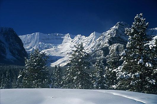全景,积雪,山峦,维多利亚山,班芙国家公园,艾伯塔省,加拿大
