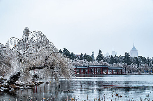 大雪过后的中国长春南湖公园冬季景观