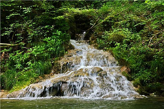 水景