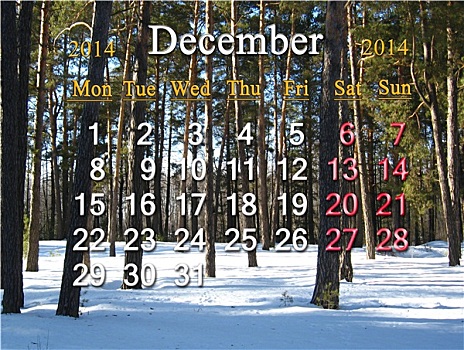 日程,十二月,冬日树林