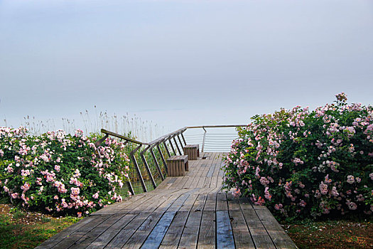 面朝大海,春暖花开,海天一色