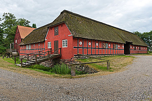 茅草屋顶,红色,涂绘,半木结构,建筑,老,维京,中心,丹麦,欧洲